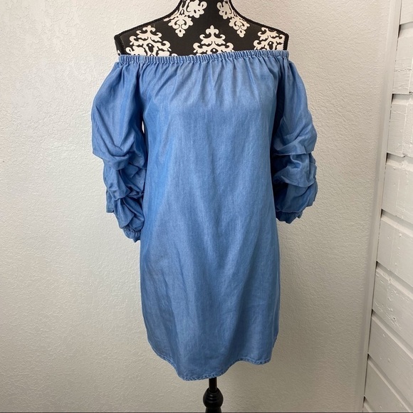 Zara Ruffle Sleeve Chambray Denim Off Shoulder Dress - Picture 11 of 16